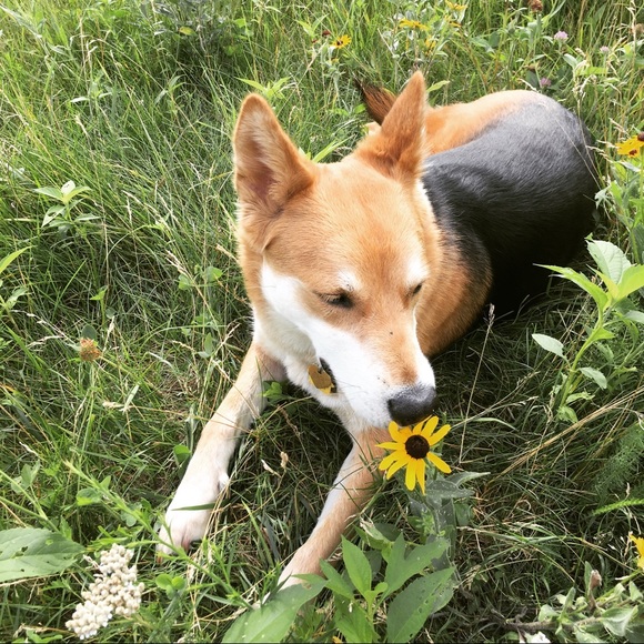 Meet your Posher, Shanna - Picture 2 of 4